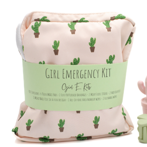 first period kit cactus